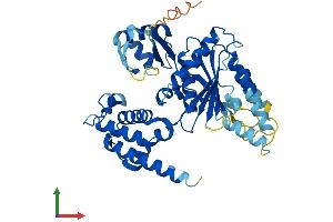 AlphaFold protein structure predicition of Mouse Recombinant Trip13 Protein, UniprotID Q3UA06