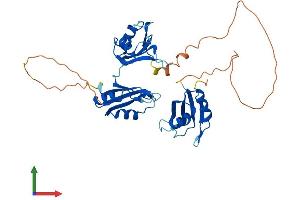 AlphaFold protein structure predicition of Mouse Recombinant Elavl3 Protein, UniprotID Q60900
