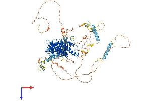 AlphaFold protein structure predicition of Human Recombinant ADD2 Protein, UniprotID P35612