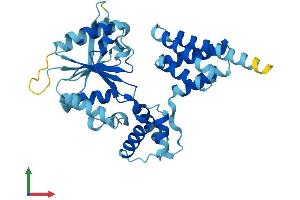 AlphaFold protein structure predicition of Human Recombinant RFC3 Protein, UniprotID P40938
