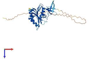 AlphaFold protein structure predicition of Mouse Recombinant Fbll1 Protein, UniprotID Q80WS3