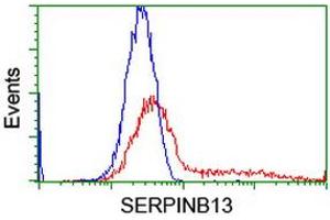 Flow Cytometry (FACS) image for anti-serpin Peptidase Inhibitor, Clade B (Ovalbumin), Member 13 (SERPINB13) antibody (ABIN1500878) (SERPINB13 anticorps)