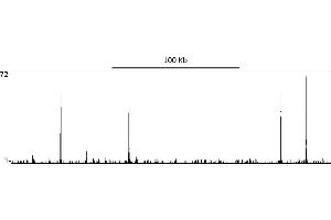 ChIP DNA-Sequencing (ChIP-seq) image for anti-Tripartite Motif Containing 24 (TRIM24) (AA 700-750) antibody (ABIN7454678) (TRIM24 anticorps  (AA 700-750))