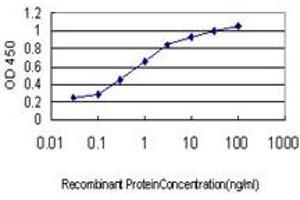 Detection limit for recombinant GST tagged SENP6 is approximately 0. (SENP6 anticorps  (AA 1-110))