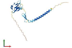AlphaFold protein structure predicition of Mouse Recombinant Cidea Protein, UniprotID O70302
