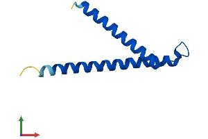 AlphaFold protein structure predicition of Human Recombinant TIMM10 Protein, UniprotID P62072