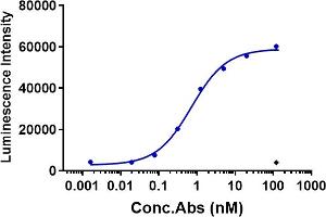 The internalization rate of the anti- human CLDN6( IMAB027)in human CLDN6 HEK293 cells increased in an antibody concentration-dependent manner, reaching 60 % at 1 nM. (Recombinant Claudin 6 anticorps)