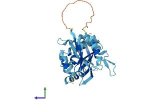 AlphaFold protein structure predicition of Mouse Recombinant Rwdd3 Protein, UniprotID Q8VIL2