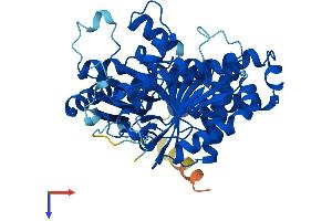 AlphaFold protein structure predicition of Human Recombinant TUBB6 Protein, UniprotID Q9BUF5