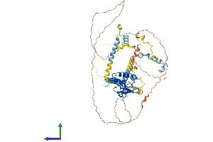 AlphaFold protein structure predicition of Mouse Recombinant Spire1 Protein, UniprotID Q52KF3