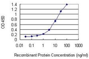 Detection limit for recombinant GST tagged HSH2D is 0. (HSH2D anticorps  (AA 251-352))