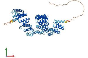 AlphaFold protein structure predicition of Mouse Recombinant Anapc7 Protein, UniprotID Q9WVM3