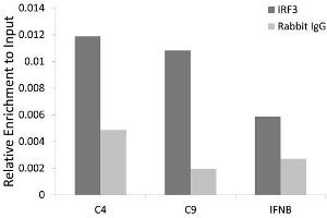Chromatin immunoprecipitation analysis extracts of HCT116 cell line, using IRF3 rabbit polyclonal antibody.