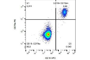 Intracellular staining of CD79a in human peripheral blood with anti-CD79a (HM57) PE.