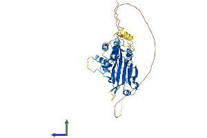 AlphaFold protein structure predicition of Mouse Recombinant Irf9 Protein, UniprotID Q61179