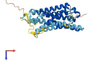 AlphaFold protein structure predicition of Human Recombinant OR2C1 Protein, UniprotID O95371