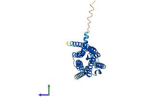 AlphaFold protein structure predicition of Human Recombinant ADORA3 Protein, UniprotID P0DMS8
