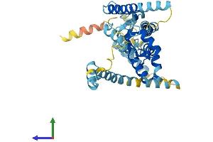 AlphaFold protein structure predicition of Mouse Recombinant Pex12 Protein, UniprotID Q8VC48