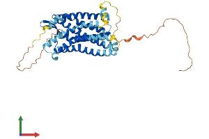 AlphaFold protein structure predicition of Human Recombinant CCR2 Protein, UniprotID P41597