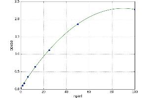 Complement Component C7 (C7) ELISA Kit