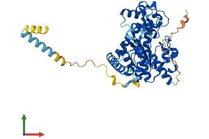 AlphaFold protein structure predicition of Human Recombinant GAL3ST3 Protein, UniprotID Q96A11