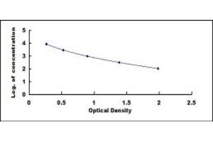 Alpha-Crosslaps ELISA Kit