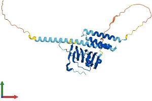 AlphaFold protein structure predicition of Mouse Recombinant Tbcc Protein, UniprotID Q8VCN9