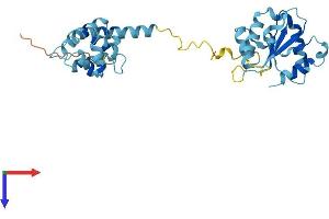 AlphaFold protein structure predicition of Human Recombinant MYD88 Protein, UniprotID Q99836