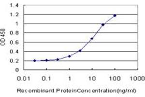 Detection limit for recombinant GST tagged RAD1 is approximately 0.