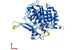 AlphaFold protein structure predicition of Human Recombinant PAFAH2 Protein, UniprotID Q99487