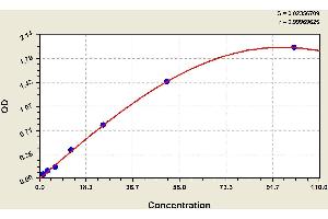 ELISA image for Complement Factor B (CFB) ELISA Kit (ABIN1114331) (Complement Factor B Kit ELISA)