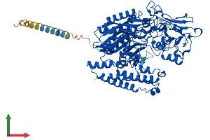 AlphaFold protein structure predicition of Mouse Recombinant Folh1 Protein, UniprotID O35409