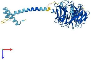 AlphaFold protein structure predicition of Human Recombinant PAFAH1B1 Protein, UniprotID P43034