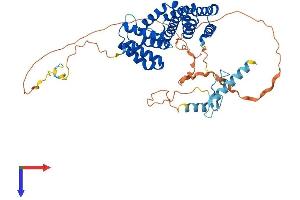 AlphaFold protein structure predicition of Human Recombinant PAIP1 Protein, UniprotID Q9H074