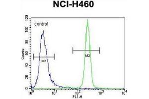 Flow cytometric analysis of NCI-H460 cells using Interleukin-6 (IL6) Antibody (Center) Cat. (IL-6 anticorps  (Middle Region))