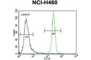 Flow cytometric analysis of NCI-H460 cells using Interleukin-6 (IL6) Antibody (Center) Cat. (IL-6 anticorps  (Middle Region))
