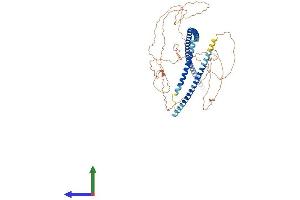 AlphaFold protein structure predicition of Human Recombinant SIX6OS1 Protein, UniprotID Q8N1H7