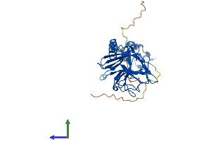 AlphaFold protein structure predicition of Human Recombinant RFPL1 Protein, UniprotID O75677