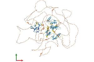 AlphaFold protein structure predicition of Mouse Recombinant Zfpm2 Protein, UniprotID Q8CCH7