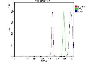 Flow Cytometry analysis of HepG2 cells using anti-ICAM1 antibody (ABIN7601977). (ICAM1 anticorps  (AA 53-519))