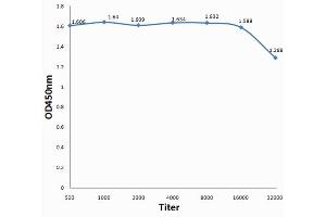 Antigen: BSA, 1ug/100ul, Primary:, 1:500, 1:1000, 1:2000, 1:4000, 1:8000, 1:16000, 1:32000, Secondary: HRP conjugated Goat Anti-Rabbit IgG at 1: 5000, TMB staining Read the data in MicroplateReader by 450nm.