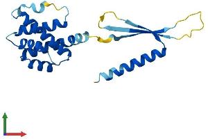 AlphaFold protein structure predicition of Human Recombinant COMMD3 Protein, UniprotID Q9UBI1