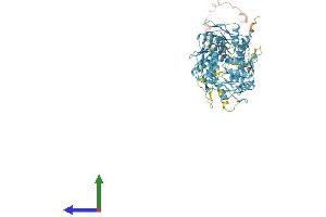 AlphaFold protein structure predicition of Human Recombinant ZNF107 Protein, UniprotID Q9UII5
