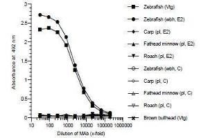 ELISA image for anti-Vitellogenin (VTG) antibody (ABIN123821) (Vitellogenin anticorps)