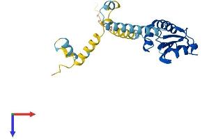 AlphaFold protein structure predicition of Human Recombinant PDCL2 Protein, UniprotID Q8N4E4