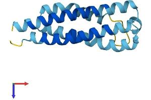AlphaFold protein structure predicition of Mouse Recombinant Cnih1 Protein, UniprotID O35372