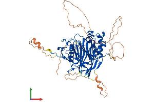 AlphaFold protein structure predicition of Human Recombinant ANGEL2 Protein, UniprotID Q5VTE6