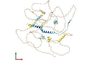 AlphaFold protein structure predicition of Human Recombinant PPP1R15B Protein, UniprotID Q5SWA1