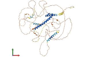 AlphaFold protein structure predicition of Human Recombinant TCF4 Protein, UniprotID P15884
