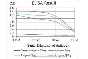 Red: Control Antigen (100ng) ; Purple: Antigen (10ng) ; Green: Antigen (50ng) ; Blue: Antigen (100ng). (ASS1 anticorps)